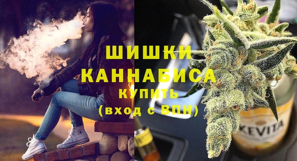 спайс Арсеньев