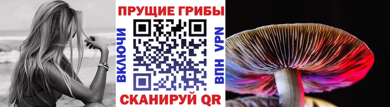 хочу наркоту  Струнино  Галлюциногенные грибы MAGIC MUSHROOMS 